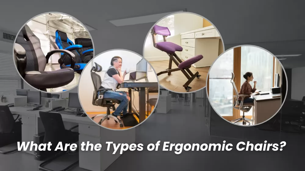 What Are the Types of Ergonomic Chairs? Which One Is Right for You?